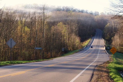 A winding road through a forested area, with misty hills in the background and a clear blue sky above.