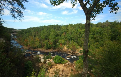 A serene landscape featuring a river winding through lush green trees under a clear blue sky.