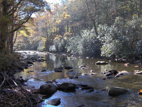 A serene river flows through a forest, with smooth stones and autumn foliage reflecting in the water.