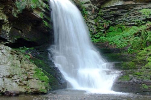 alt