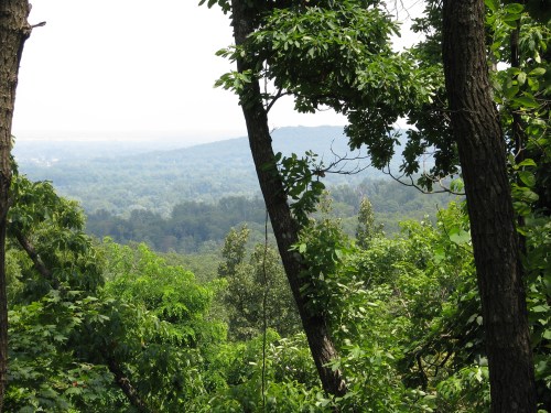 Lush green trees frame a distant view of rolling hills and a misty landscape under a bright sky.