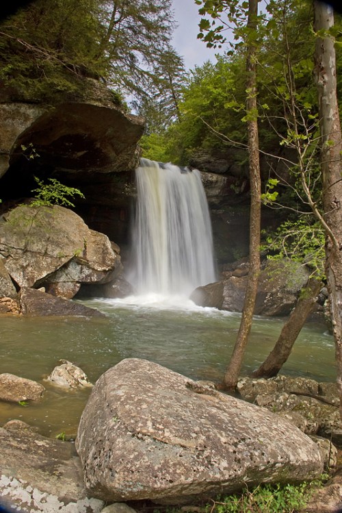 A serene waterfall cascades over rocks into a clear pool, surrounded by lush greenery and trees.