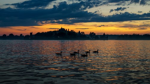 Silhouetted ducks swim in a calm lake at sunset, with a distant island and dramatic clouds in the background.