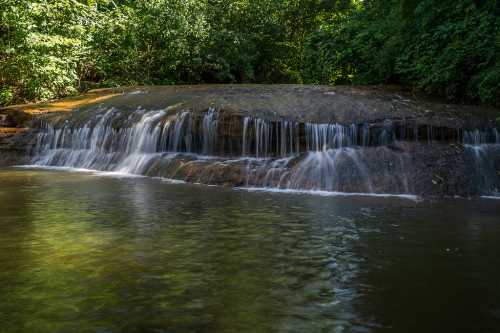 A serene waterfall cascades over a rocky ledge into a calm pool, surrounded by lush greenery.