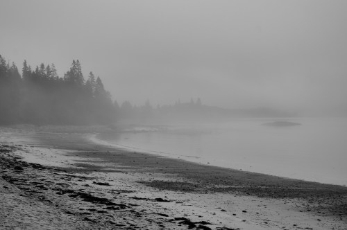 A foggy shoreline with a sandy beach, surrounded by trees and calm water, creating a serene, monochromatic landscape.