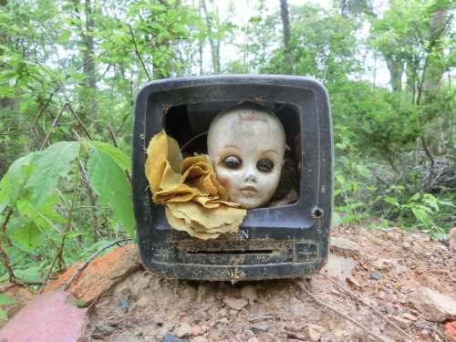 A weathered doll's head peeks out from an old television, surrounded by greenery and dried flowers.