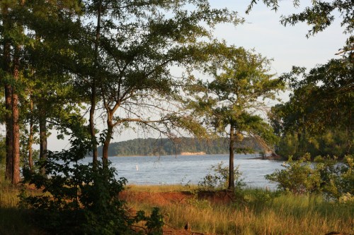 A serene lakeside view framed by trees, with gentle waves and distant hills under a clear sky.