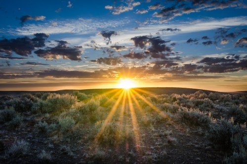 A vibrant sunset over a grassy landscape, with rays of light breaking through clouds in a colorful sky.