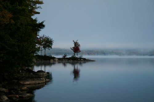 A serene lake scene with fog, trees reflecting on the water, and autumn colors in the background.