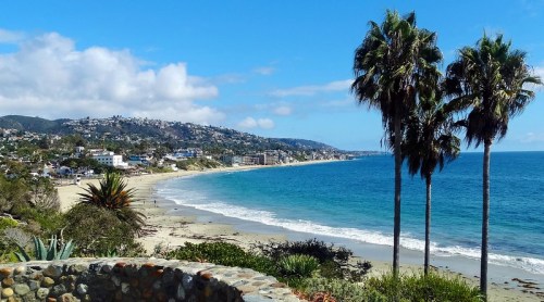 A scenic beach view with palm trees, sandy shore, and gentle waves under a blue sky with scattered clouds.