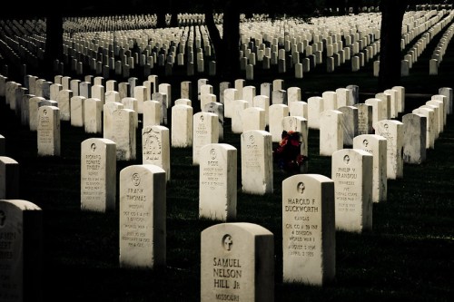 A serene cemetery with rows of white gravestones, some adorned with flowers, under a peaceful, shaded landscape.