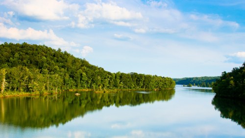 A serene river reflects lush green trees under a blue sky with fluffy clouds.