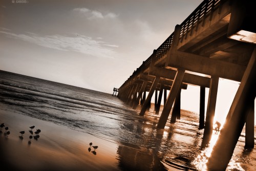 A pier extends over calm waters, with birds on the shore and a soft sunset glow illuminating the scene.