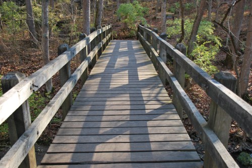 A wooden bridge surrounded by trees, casting shadows on the planks, in a serene natural setting.