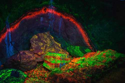 A vibrant, illuminated cave scene with colorful rocks and flowing water, showcasing bright reds, greens, and blues.