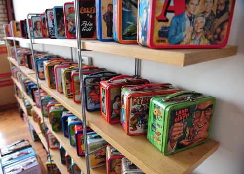 A display of colorful vintage lunchboxes on wooden shelves, featuring various cartoon and movie characters.