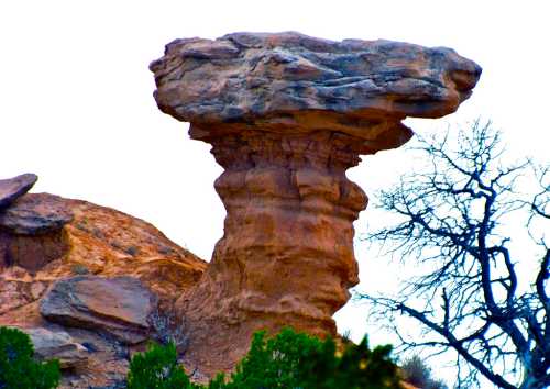 A tall, mushroom-shaped rock formation stands against a light sky, surrounded by sparse vegetation and bare trees.