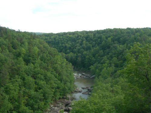A lush green valley with a winding river surrounded by dense trees under a clear sky.