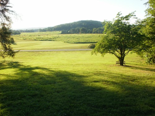 A serene landscape featuring a grassy field, a tree, and a distant hill under a clear sky.
