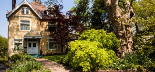 A charming yellow house with a green lawn and vibrant trees in a sunny garden setting.