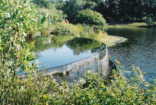 A serene pond surrounded by lush greenery and a curved stone edge reflecting the trees above.