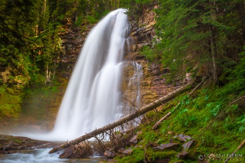 A serene waterfall cascades down rocky cliffs, surrounded by lush green trees and a fallen log in the foreground.