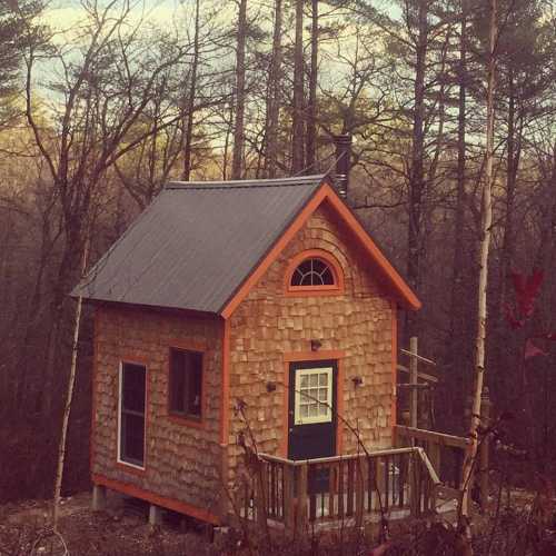 A small wooden cabin with a shingled exterior, surrounded by trees in a serene forest setting.