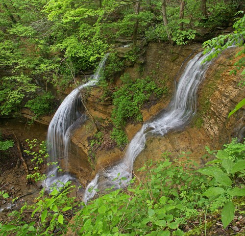 A serene waterfall cascading down rocky cliffs, surrounded by lush green foliage and trees.