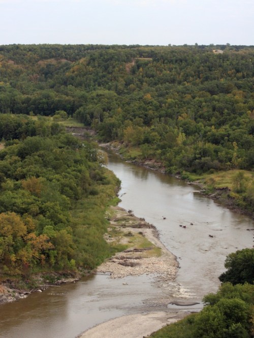 A winding river flows through a lush green landscape with trees and rocky banks under a cloudy sky.