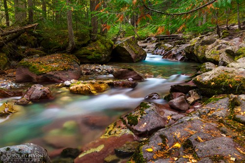 A serene stream flows through a forest, surrounded by moss-covered rocks and vibrant autumn foliage.
