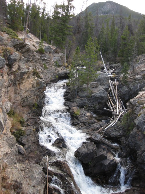 A rushing river flows through rocky terrain, surrounded by tall trees and a mountainous backdrop.