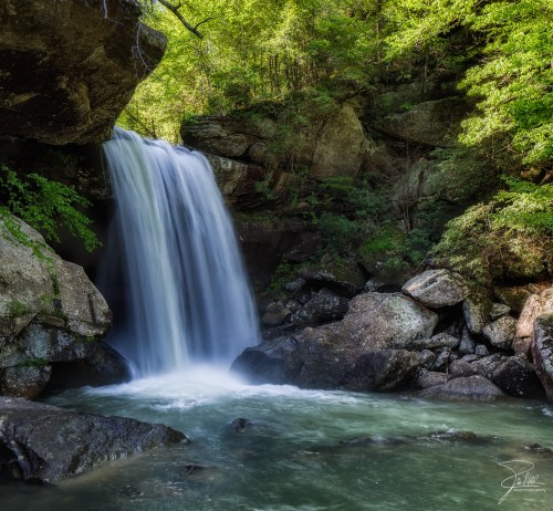 A serene waterfall cascades over rocks into a tranquil pool, surrounded by lush green foliage.