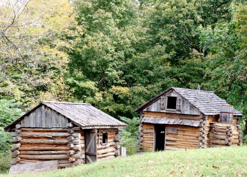 Two rustic log cabins surrounded by lush green trees and autumn foliage.