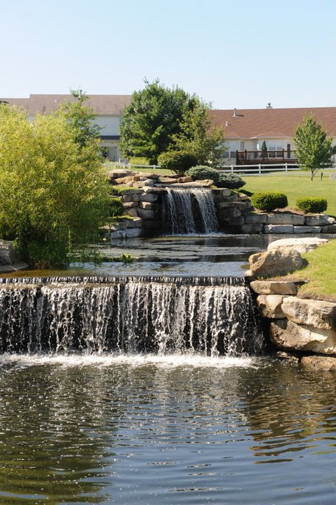 A serene pond with a waterfall surrounded by lush greenery and rocks, under a clear blue sky.