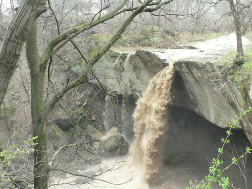 A waterfall cascades over a rocky ledge, surrounded by bare trees and muddy water below.