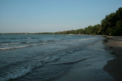 A serene beach scene with gentle waves lapping at the shore, surrounded by trees under a clear blue sky.