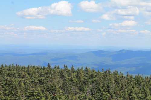 A panoramic view of rolling green mountains under a blue sky with fluffy white clouds.