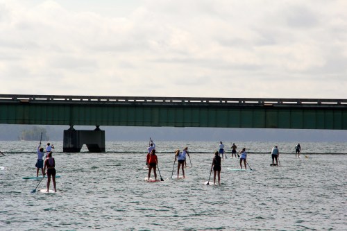 A group of people paddleboarding on a calm body of water beneath a green bridge.