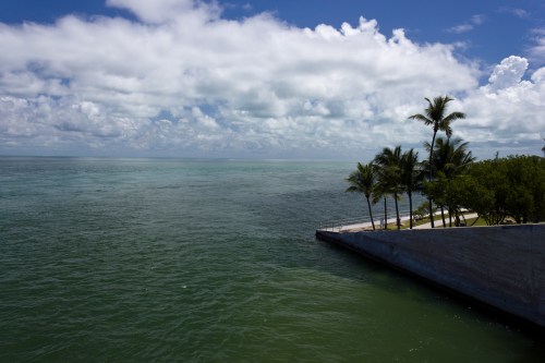 A serene ocean view with palm trees along a concrete pier under a partly cloudy sky.