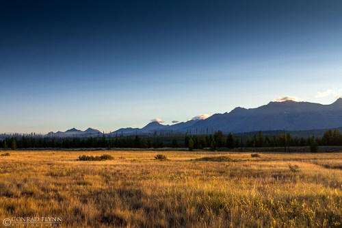A serene landscape featuring a grassy field with distant mountains under a clear blue sky.