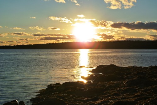 Sunset over a calm lake, with golden light reflecting on the water and silhouetted trees in the background.