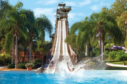 A water slide towers over a pool, with a person splashing down and palm trees surrounding the area.