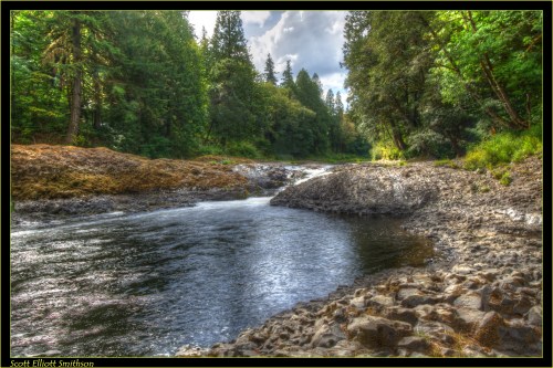 A serene river flows through a lush forest, with rocky banks and trees lining the water's edge under a cloudy sky.