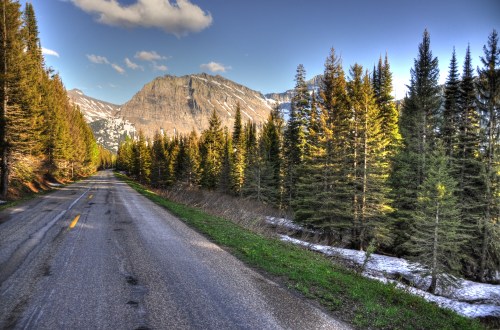A scenic road lined with tall trees, leading towards a mountain range under a clear blue sky. Snow patches visible.