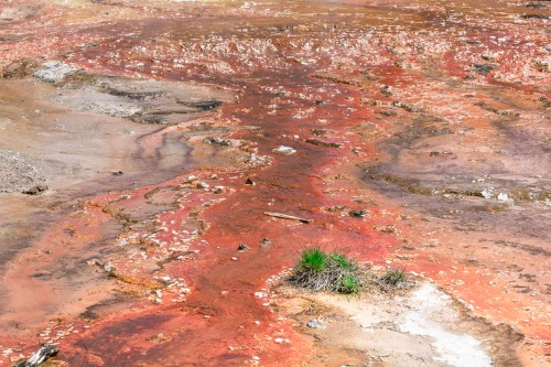 Colorful geothermal landscape with reddish-brown soil, patches of grass, and mineral deposits in a natural setting.