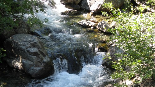 A flowing stream cascades over rocks, surrounded by lush green foliage in a serene natural setting.