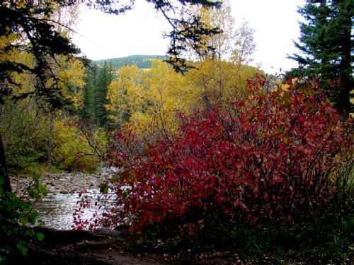A serene landscape featuring a river surrounded by vibrant autumn foliage in shades of yellow and red.