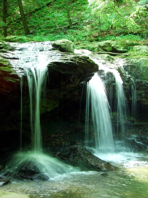 A serene waterfall cascading over rocks, surrounded by lush green foliage in a tranquil forest setting.