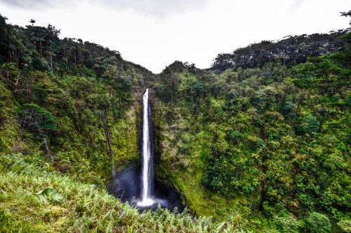 A stunning waterfall cascades down a lush, green cliff surrounded by dense forest.