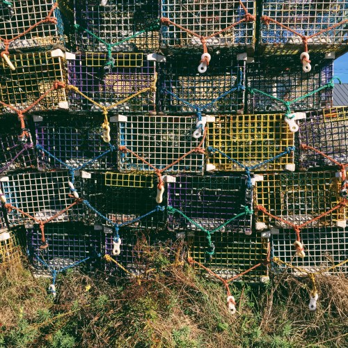 A colorful stack of lobster traps against a blue sky, surrounded by grass and vegetation.